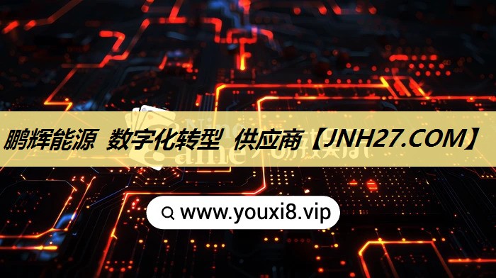 鹏辉能源 数字化转型 供应商 鹏辉能源 数字化转型 供应商