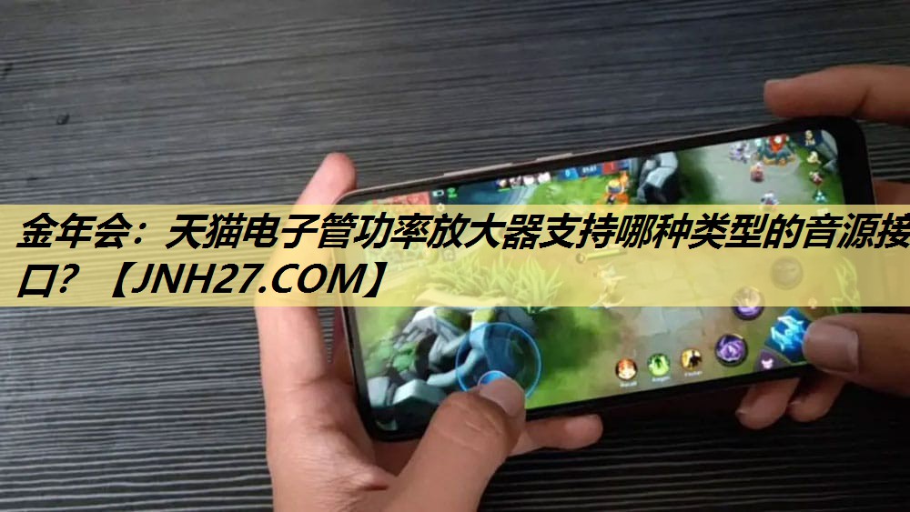 天猫电子管功率放大器支持哪种类型的音源接口? 天猫电子管功率放大器支持哪种类型的音源接口?